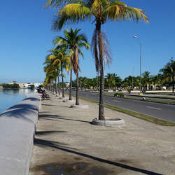 Imagen de Muelle Real